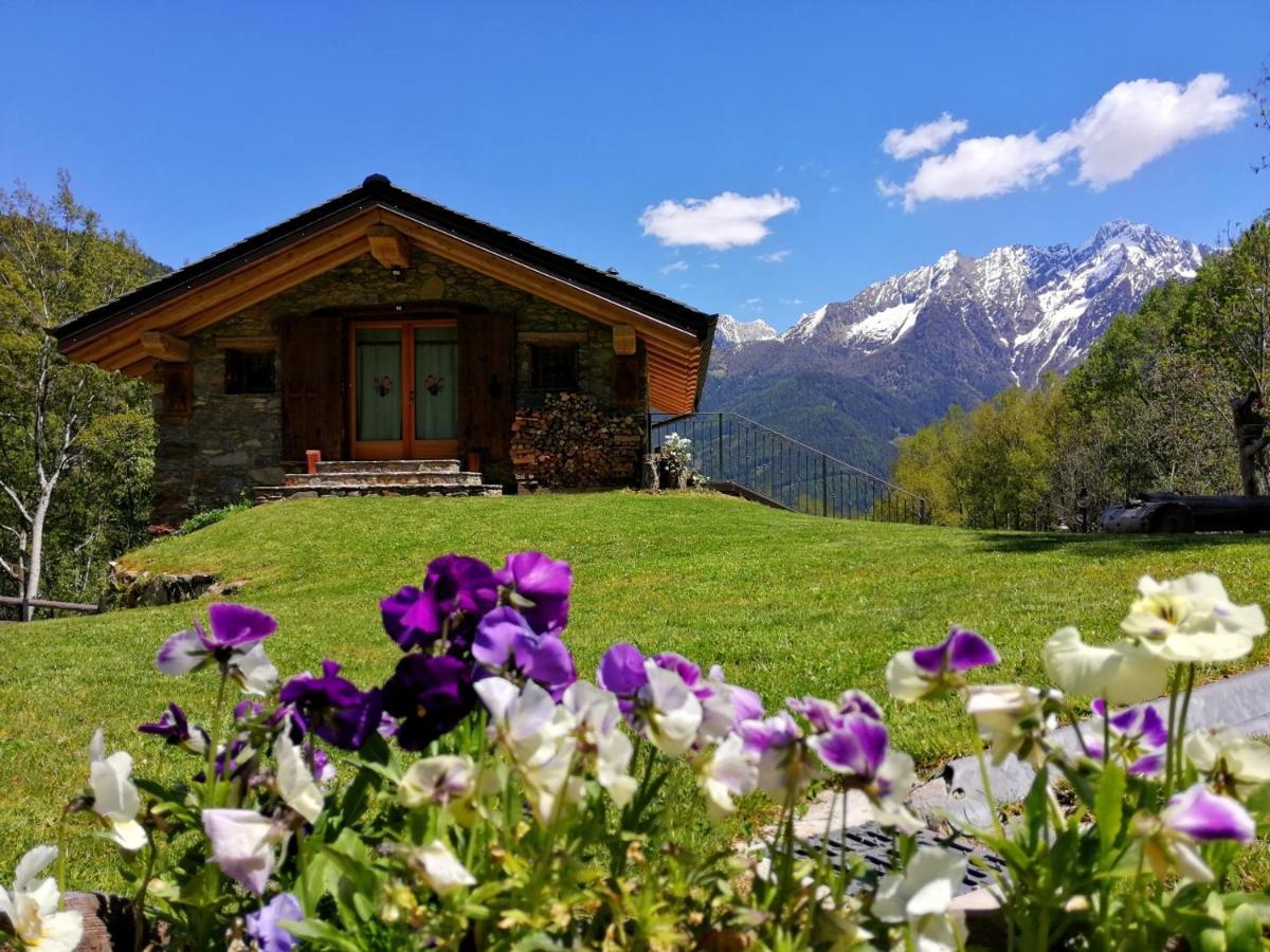 Monno Chalet Cuore Selvatico מראה חיצוני תמונה